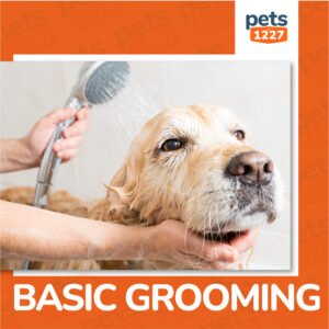 pet basic grooming
